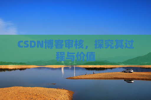 CSDN博客审核，探究其过程与价值